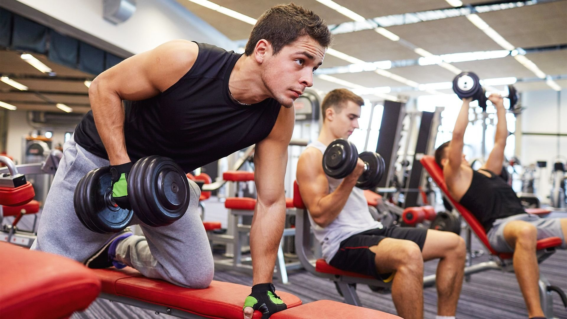 ARENA GYM