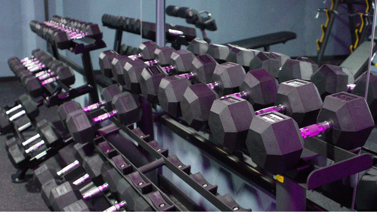 WILD GYM