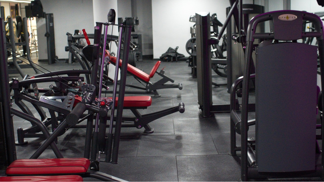 WILD GYM