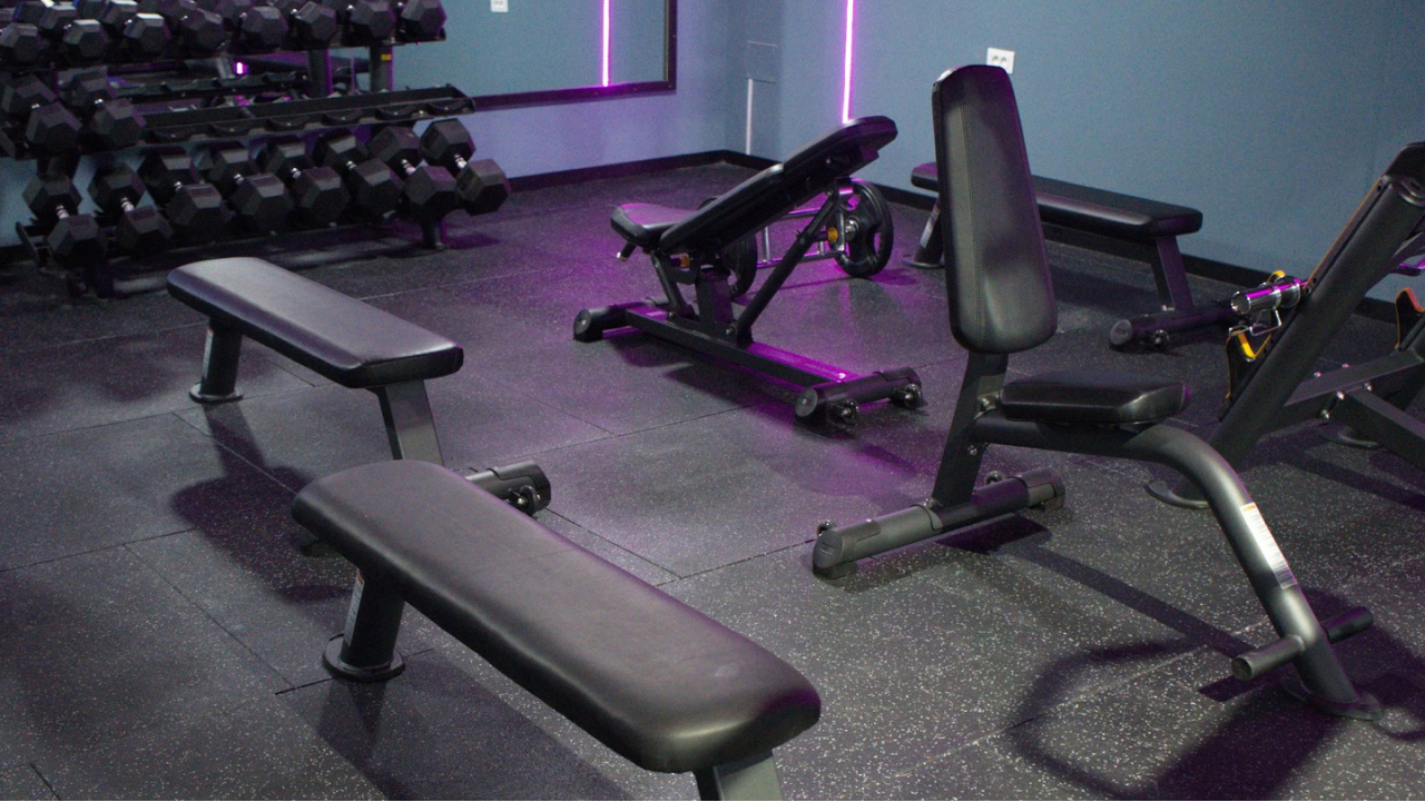 WILD GYM