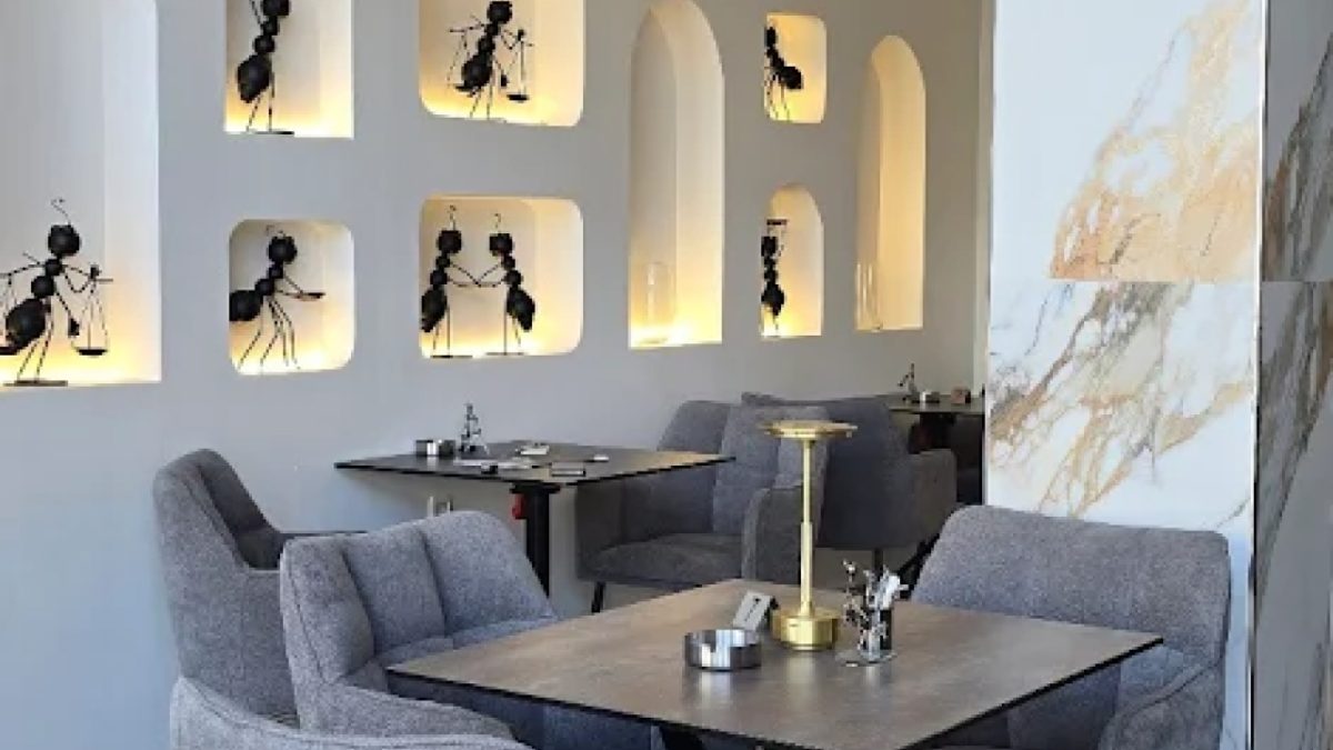THE HALF -DIPLOMATS LOUNGE  