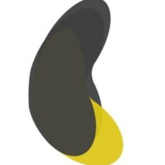 IBERIS
