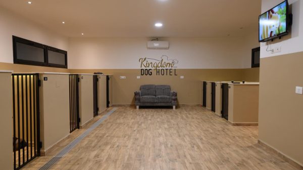 KINGDOM DOG HOTEL
