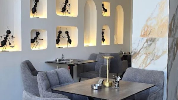 THE HALF -DIPLOMATS LOUNGE  